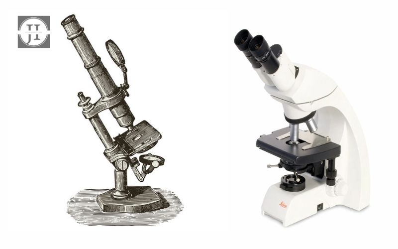 Who Invented The Microscope?