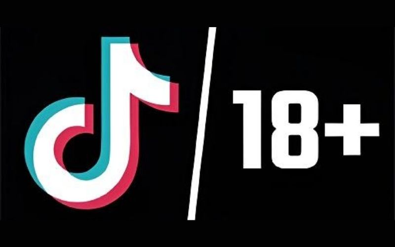 Exploring the Controversy: TikTok +18 Content and Its Impact on Social Media Culture
