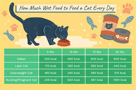 A Guide to Feline Nutrition: Feeding Your Cat for a Healthy Life