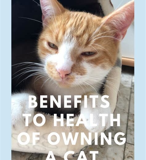 The Hidden Health Benefits of Owning a Cat